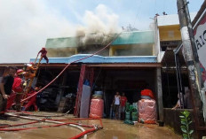  Tolong Orang Tersangkut Pohon  hingga Tangkap Ular Masuk Rumah, PBK Optimalkan Fungsi Penyelamatan