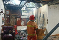   Bikin Shok! Wanita di PALI Ditangkap Polisi Usai Bakar Rumah  Mantan Mertua
