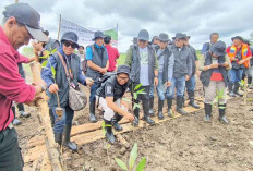 Warga Sungsang IV Panen Berkah Mangrove
