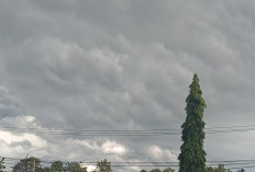 Laporan Terkini Perubahan Iklim dan Cuaca Ekstrem Sepanjang 2025