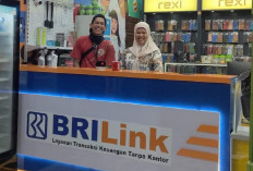 Dari Warung ke Bank: BRILink Bawa Layanan Perbankan Lebih Dekat Hingga ke Desa