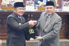 Amankan Seluruh Aset Daerah, Banyak Kawasan Hutan MasuK HGU Perusahaan Ilegal