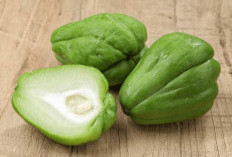 9 Manfaat Labu Siam bagi Kesehatan yang Kerap Diremehkan, Padahal Kaya Khasiat