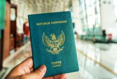 RESMI, Pemerintah Tetapkan Tarif Baru Pembuatan Paspor RI, Berlaku Desember 2024 untuk Semua Jenis