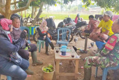 Petani Jejawi Semprot Padi Varietas Ciliwung dan Ciherang Cegah Hama Wereng