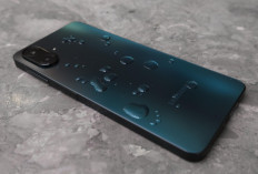 Budget Sejutaan? Ini 5 Hal yang Perlu Kamu Cek Sebelum Beli Ponsel