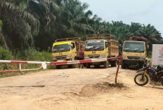 Gangguan Aktivitas Perkebunan Kelapa Sawit di PT Berkat Sawit Sejati 