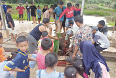 Desa Sinar Rambang Dukung Ketahanan Pangan, Beli Hewan Kurban dari Peternak Lokal