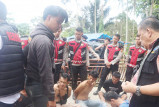 Dukung Astacita Presiden Prabowo, Tim Gabungan Gerebek Kampung Narkoba di Empat Lawang, Ini Hasilnya 