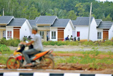 Ringankan Beban Warga, Pemkot Palembang Gratiskan Pembayaran Ratusan Ribu SPTPT WP, Ini Syaratnya 