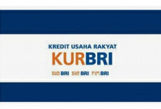 KUR di Bank BRI: Bunga Rendah, Proses Cepat, Usaha Maju!