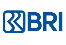 Pinjaman BRI Non KUR 2026, Solusi Dana Cepat atau Risiko Finansial Berkepanjangan?