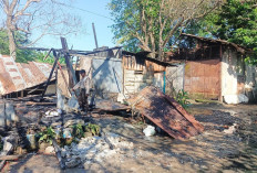 Kebakaran Dahsyat Lahap Satu Rumah di Lorong Pelita Sako, Kerugian Capai Rp80 Juta