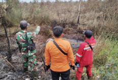Lahan Mineral di Desa Petaling Terbakar, Terpantau Empat Hotspot di OKI