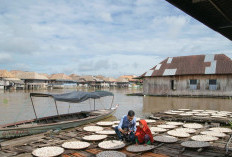 BRI Salurkan KUR Rp69,8 Triliun ke 8,3 Juta UMKM, Sektor Produksi Tumbuh Signifikan