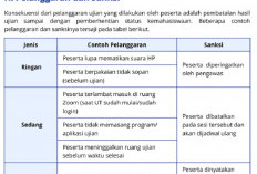 Bisa Diskualifikasi, Ini 4 Jenis Pelanggaran yang Harus Dihindari Saat UKPPPG Bagi Peserta PPG Guru Tertentu