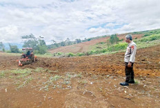  Garap Lahan Tidur, Wujudkan Swasembada Pangan