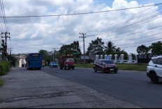 Info Mudik 2026: Jalinteng Sumatera di OKU Timur, Volume Mulai Naik Tipis 10-15 Kendaraan per Menit