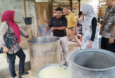  Banyak Peminat Sertifikat Halal, Dinas Koperasi Usulkan Lima UMKM Dapat Sertifikat 