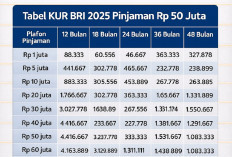 Tabel KUR BRI 2025 Pinjaman Rp 50 Juta: Cicilan, Syarat, dan Cara Pengajuan
