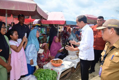 Presiden Jokowi Pastikan Stabilitas Harga di Pasar Tradisional di Muratara