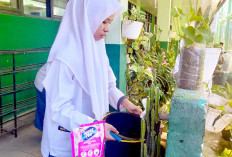 Sulap Lingkungan Madrasah Jadi Lebih Asri