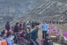 Gunung Ijen Surganya Api Biru Banyuwangi, Bisa Duduk Manis Langsung Sampai Puncak