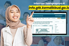 Perubahan Regulasi Penerbitan NRG, Cek Jadwal Terbit dan Syarat Agar Muncul INFOGTK