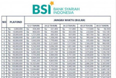 UPDATE! Pinjaman Bank BSI Mei 2025, Plafon hingga Rp500 Juta 