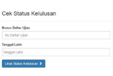 Cara Mudah Cek Hasil Pengumuman UKPPPG 2025, Jangan Sampai Ketinggalan!