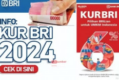 BRI: Solusi Permodalan UMKM dengan Kredit Usaha Rakyat, Mudahkan Pelaku Usaha Kembangkan Bisnisnya