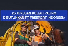 PT Freeport Beri Gaji Tinggi, Berikut 25 Jurusan Kuliah Paling Dicari BUMN Penambang Emas Itu