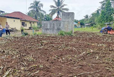 Manfaatkan Lahan Mapolsek Air Sugihan untuk Tanam Jagung