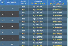 Inilah Rincian Gaji dan Tunjangan PPPK Tahun 2025