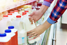 5 Tips Menyimpan Susu agar Tidak Cepat Basi