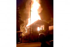 Rumah Lansia di Kikim Timur Ludes Terbakar, Diduga akibat Korsleting Listrik