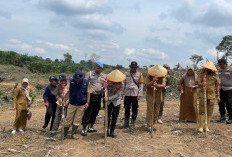 Santunan  Kerawanan  Sosial,  Wujudkan Ketahanan Pangan