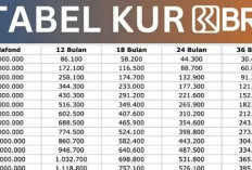 Terbongkar! Rahasia ACC KUR BRI 2025, Bukan Cuma Berkas, Tapi Riwayat Digitalmu yang Penentu!