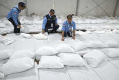 Kemenag Siapkan 3 Skema, Jemaah Haji Indonesia Mulai Bergerak ke Arafah 4 Juni