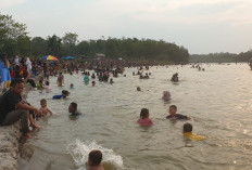 Berkah Kemarau, Hamparan Pasir Sungai Komering Diserbu Ribuan Pengunjung