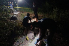 Mayat Perempuan Membusuk Ditemukan di Muba, Diduga Korban Pembunuhan