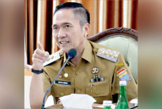 Ini Jawaban Tegas Wako Ratu Dewa Soal Gugatan Tiga Oknum Dishub yang Dipecat