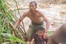 2 Bocah Tersangkut Semak, 1 Hanyut, Sungai Meo Pasang, Upaya Penyelamatan Dramatis