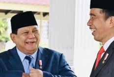 Jokowi & Prabowo Angkat Bicara Soal Isu Retaknya Hubungan: Apa Kata Masyarakat?