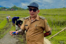 Kades Bertato Dijuluki Yakuza Banjarnegara! Hoho Alkaf Sulap Desa Jadi Ladang Miliaran Rupiah!