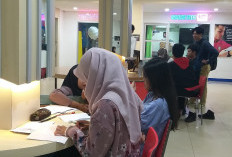 Lulus Kuliah Dijamin Aman! Ini 10 Jurusan yang Tak Tergantikan oleh Kecerdasan Buatan