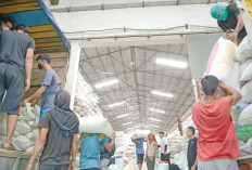 Bulog Sebut Ada Tambahan 300 Ton Beras Impor dari Thailand dan Pakistan