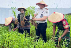 Latih Keterampilan Warga Binaan, Gelar Panen Raya, Lapas Muara Beliti Undang Forkopimda 