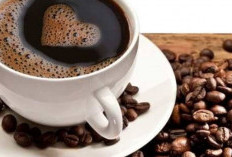 Bagaimana Kafein dalam Kopi Hitam Mengendalikan Nafsu Makan dan Membakar Lemak? Ini Jawabannya!