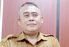 Investasi PMA Senilai Ratusan Miliar Masuk ke Sumsel Salah Satunya Pabrik CCO di Banyuasin, Ini Nilainya 